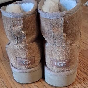 UGG Chestnut Suede Ankle Boots